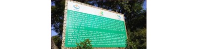 அகஸ்திய முனி